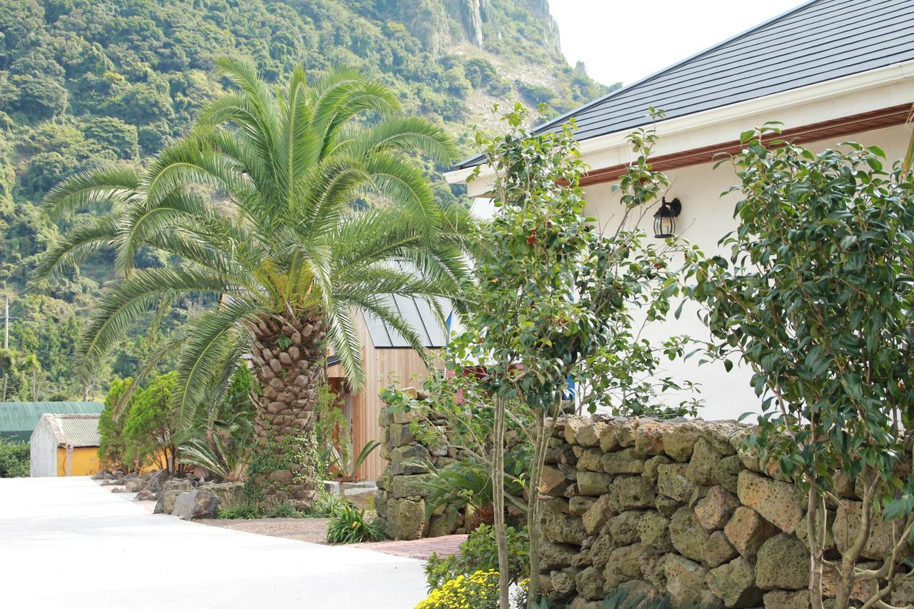 Mirvill Pension & Resort Seogwipo Ngoại thất bức ảnh